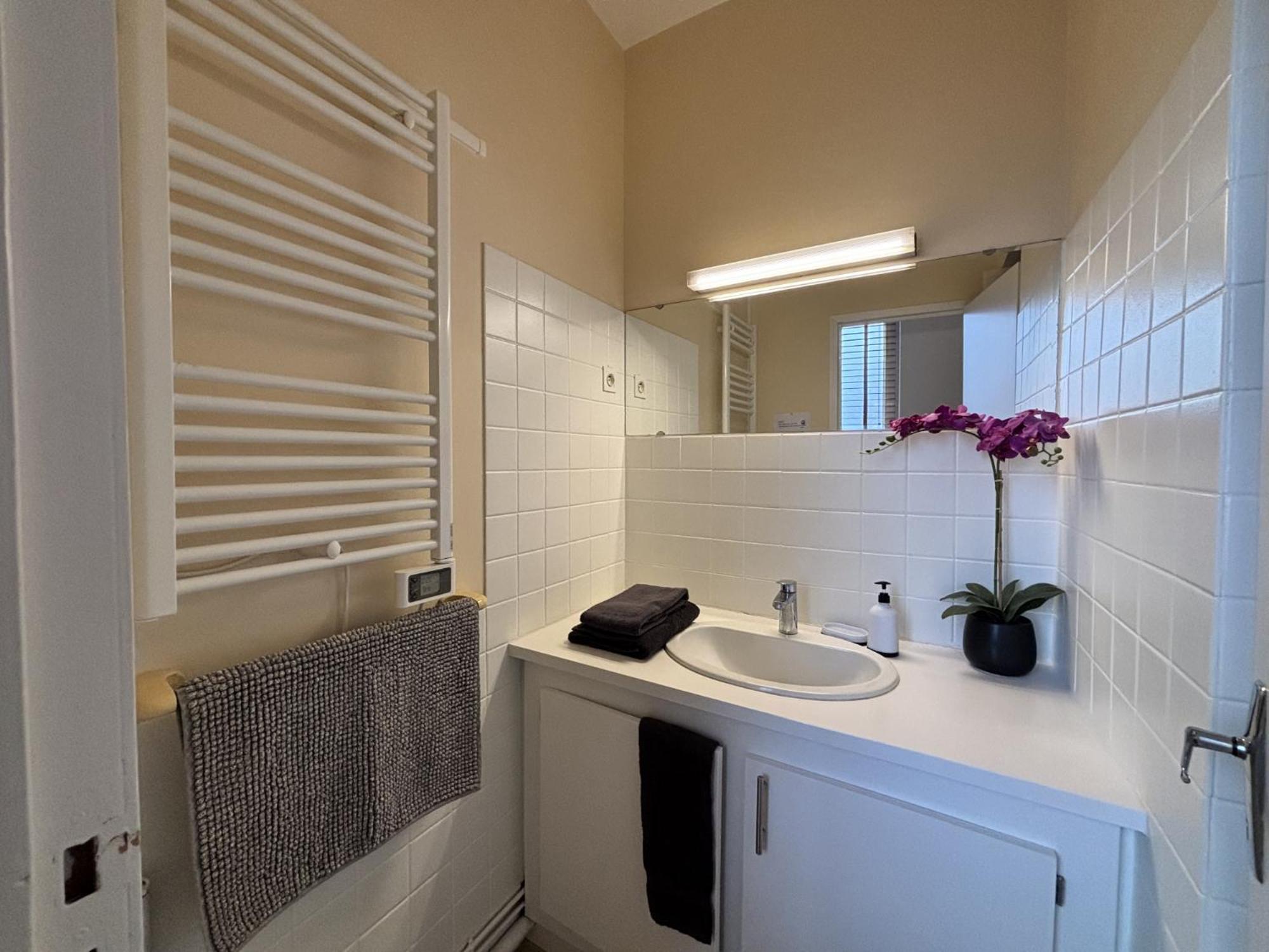 Le Puy De Dome - 1 Chambre - Clim Châtel-Guyon 外观 照片