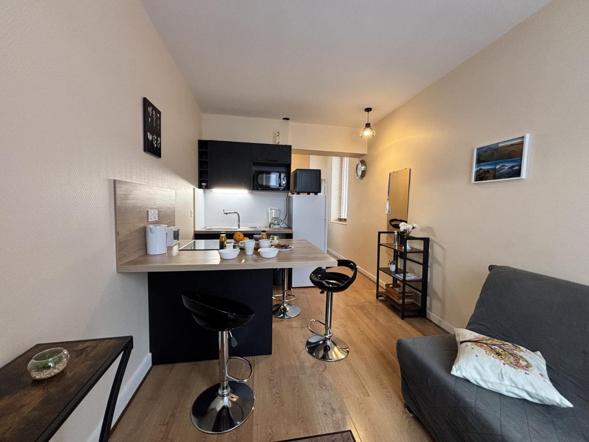 Le Puy De Dome - 1 Chambre - Clim Châtel-Guyon 外观 照片